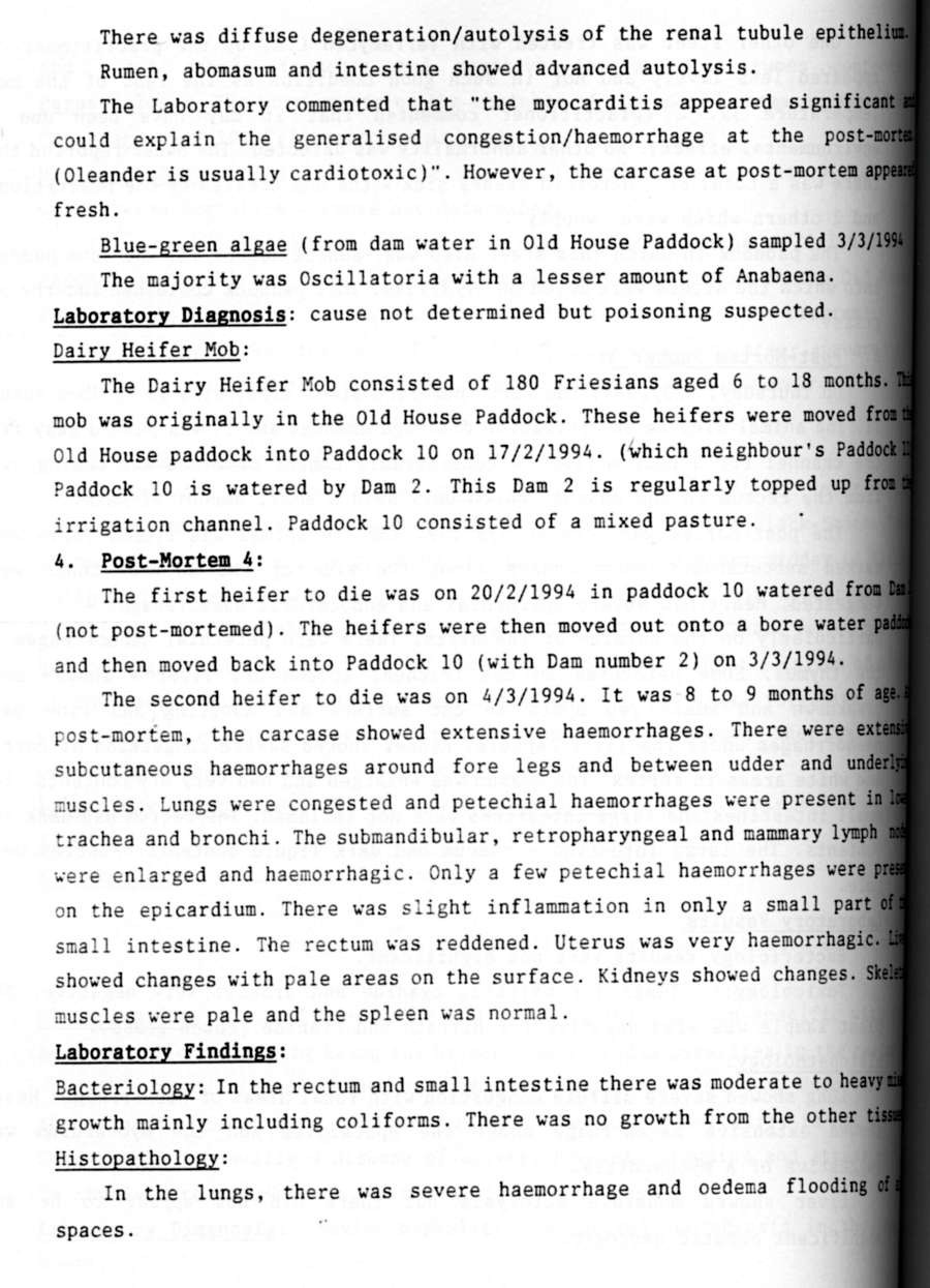 1994 Page 133
